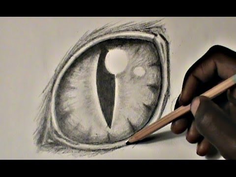 480x360 Step By Step Drawing A Cat Eye