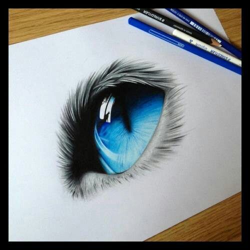 500x500 Eye Drawings Blue Cat Eye. Pencil Drawing. Soft Touch And Skill