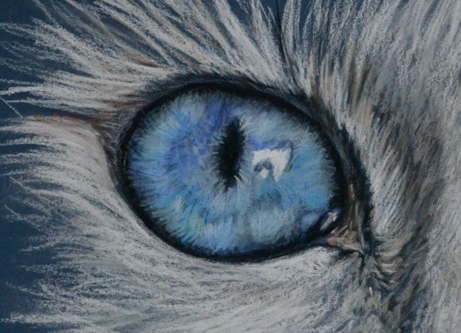 1600x1156 Felicity Deverell Pastel Pencil Cat's Eyes