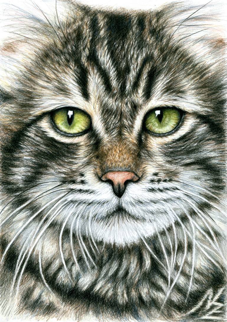 770x1092 Saatchi Art Cats Face Drawing By Nicole Zeug