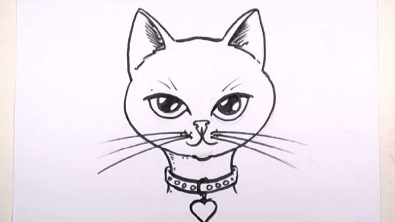 800x450 Drawing A Cartoon Tabby Cat Face