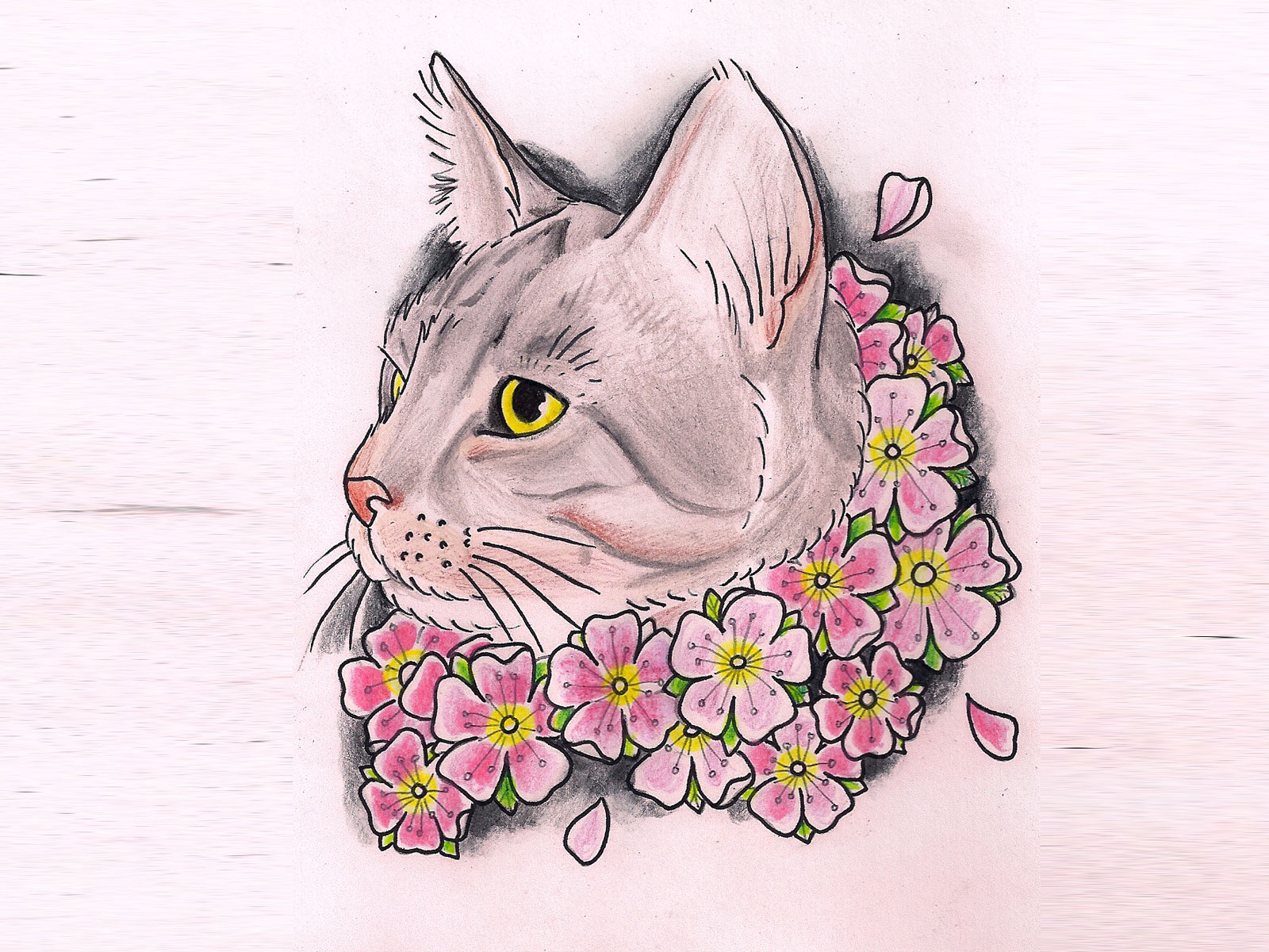 1600x1200 Beautiful Cat Face Drawing