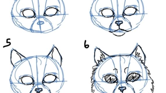 570x320 How To Draw A Cat Head Savanna Williams How To Draw Cats Faces