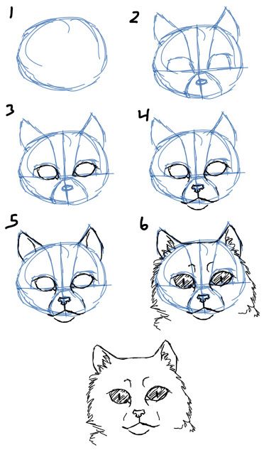 389x640 How To Draw Cat Facesheads Like An Artist Art Ed Central Best
