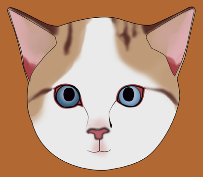 411x359 How To Draw A Realistic Cat's Face 11 Steps (With Pictures)