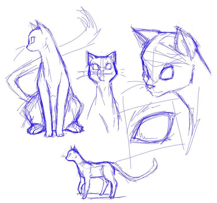 736x688 Kuvahaun Tulos Haulle Cat Head Drawing Drawing