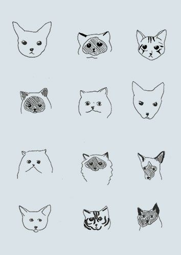 354x500 Cat Wallpaper Patterned Perfection Cat Wallpaper