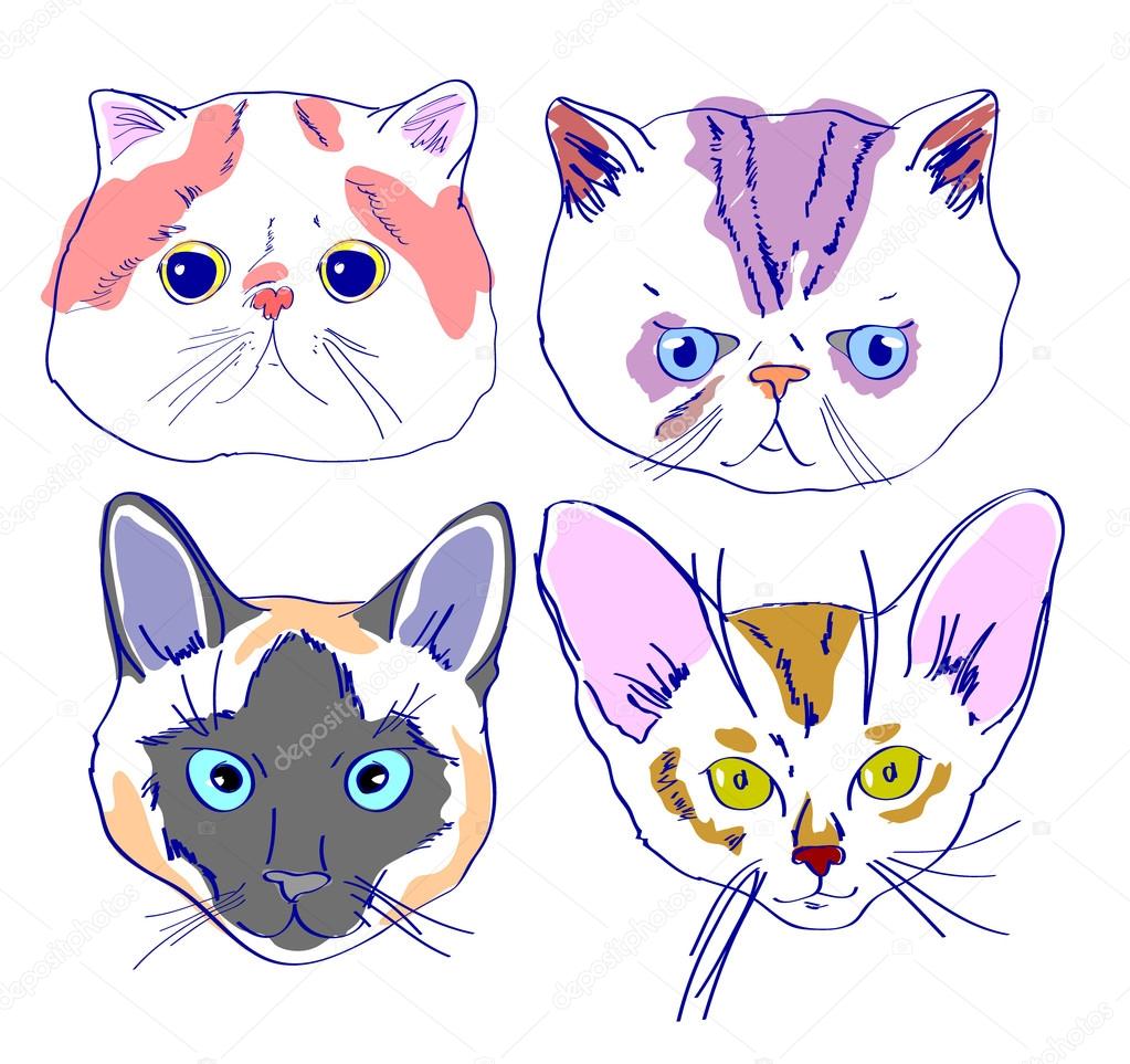 1023x963 Cats Faces Drawing In Cartoon Style Stock Vector Galieva0410