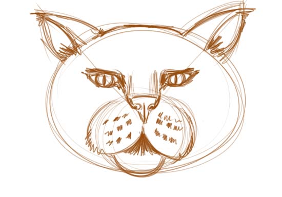 550x384 How To Draw A Cat Face Step 05.jpg