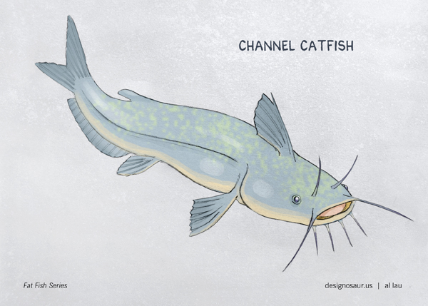 600x429 Illustration Channel Catfish Blog.designosaur.us