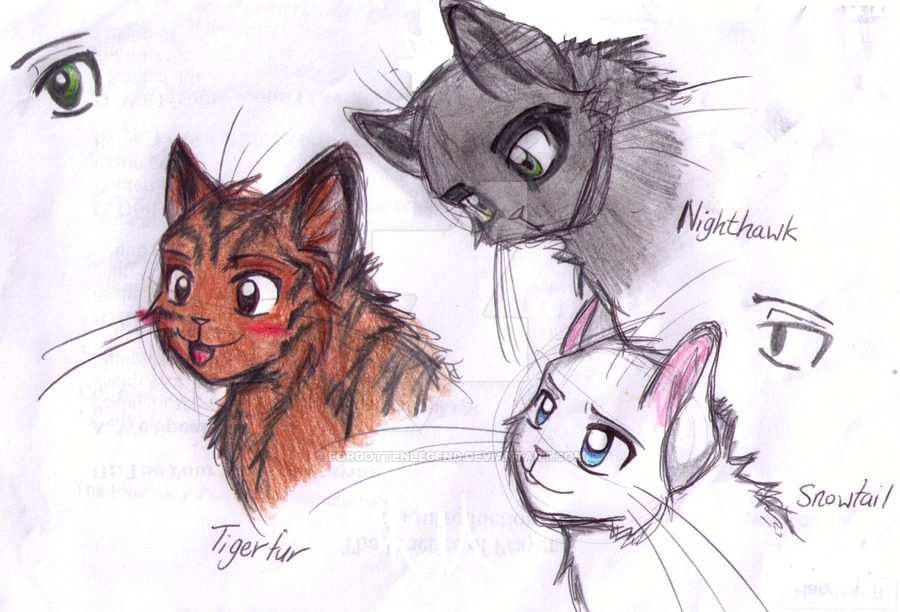 900x612 Warrior Cat Adoptables Closed By Forgottenlegend