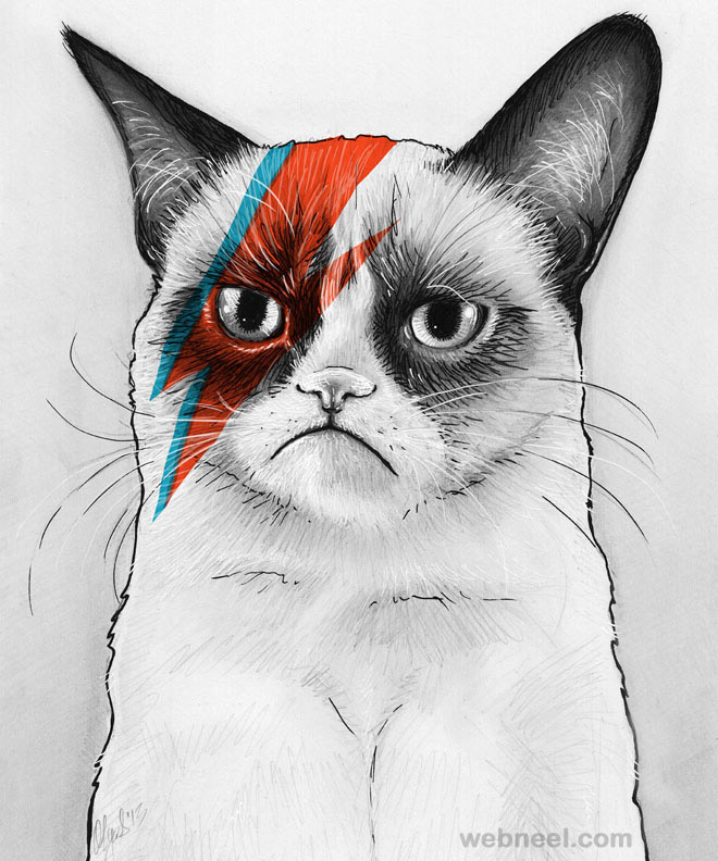 660x792 Cat Color Pencil Drawing 19