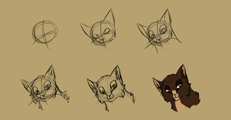 800x418 Domestic Cat Head Tutorial By Midnightpony