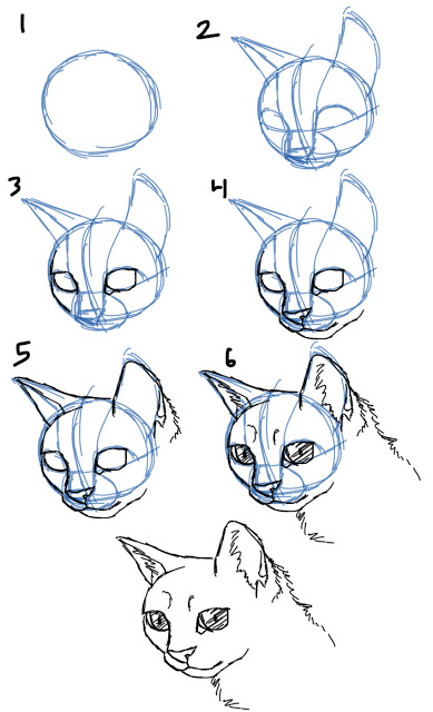 389x640 How To Draw Cat Facesheads 34 View Arts Amp Crafts