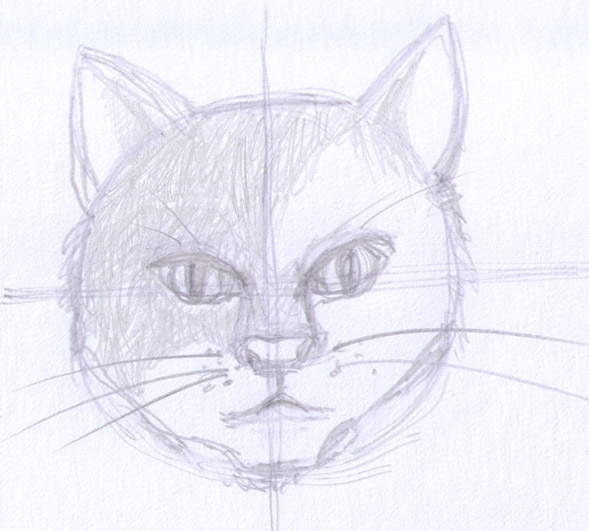 589x531 How To Draw A Cat