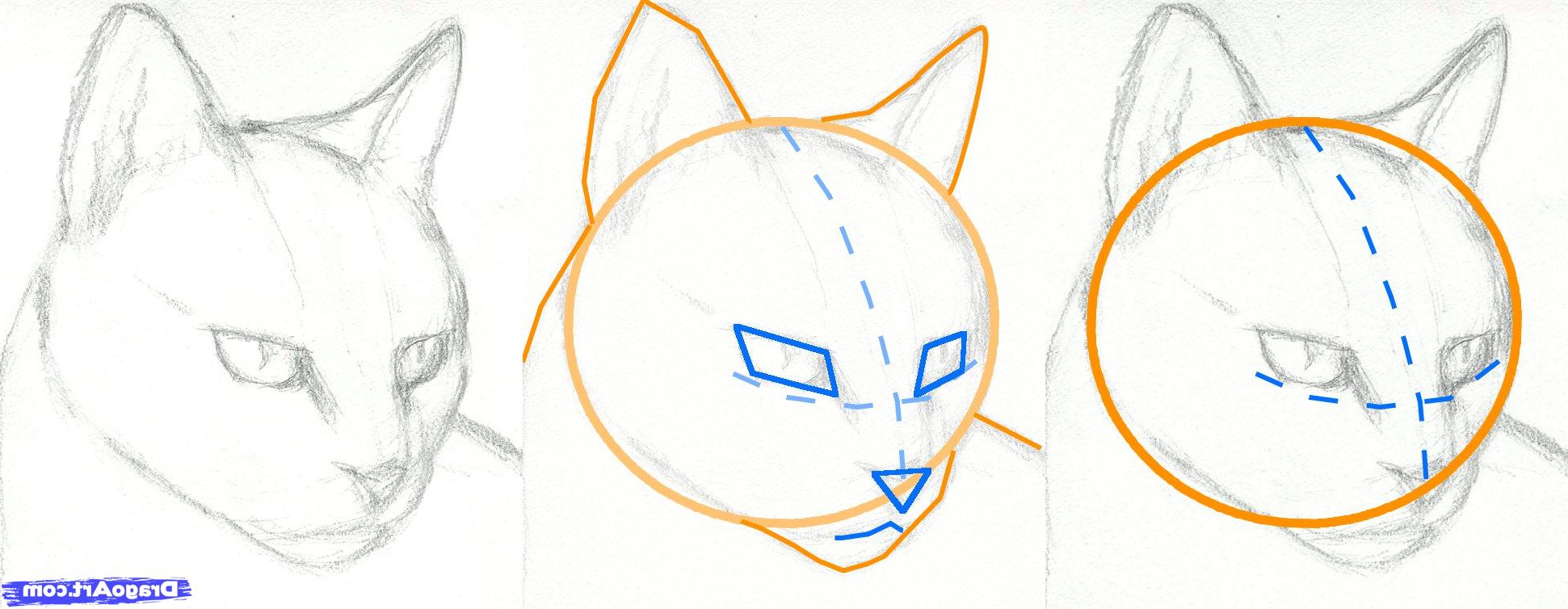 Cat Head Drawing at GetDrawings | Free download