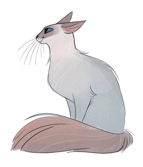 500x586 Cat Drawing Cats Sketch Balinese Cat Daily Cat Drawings