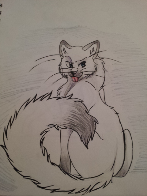 480x640 Drawing Of Fluffy Cat By Alexthewolfy
