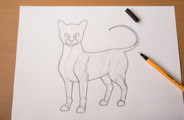 600x390 How To Draw Animals Quickly Render Fur