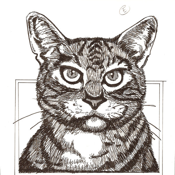 600x600 Pen And Ink Cat By Remmidi