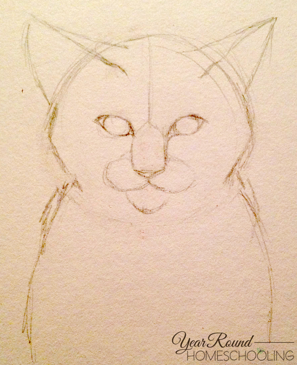 600x737 How To Draw A Cat With Graphite Pencils
