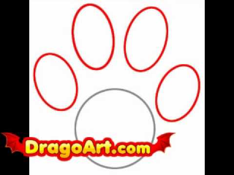 480x360 How To Draw A Paw Print, Step By Step
