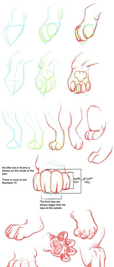 399x929 Cat Paw Tutorial Art Cat Paws, Tutorials And Cat