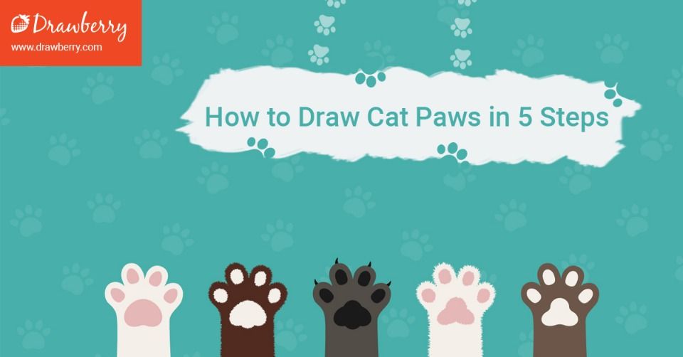 960x502 How To Easily Draw Cat Paws In 5 Steps