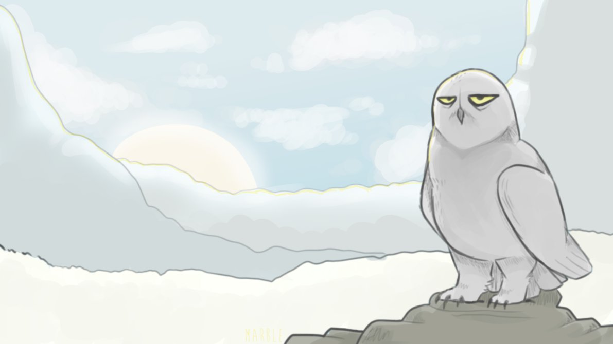 1191x670 Snowy Owl By Marble Cat Paws