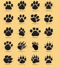 236x266 Cat Paw Print Vs Dog Paw Print