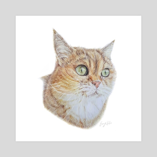 540x540 Cat Pencil Drawing, An Art Print By Emmy Kalia