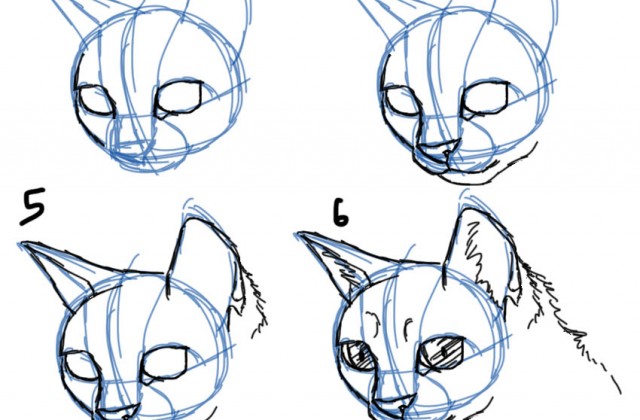 640x420 Tag For Cute Cat Pictures To Draw Cartoon Black And White Cat