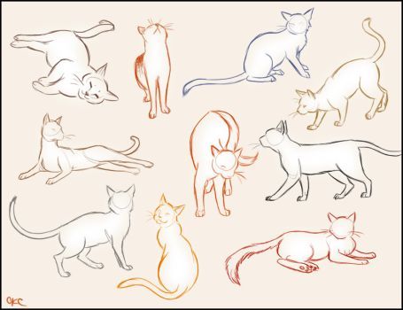 Cat Poses Drawing at GetDrawings | Free download