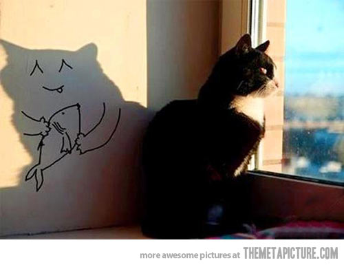 500x388 Wishes Of A Cat