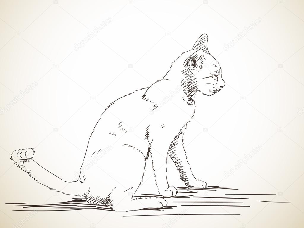 1024x768 Sketch Of Cat Sitting Stock Vector Olgatropinina