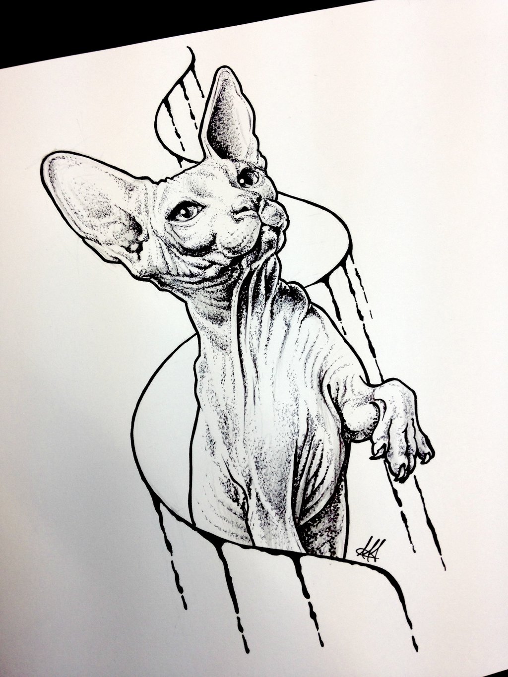 1024x1365 Sphynx Cat Sketch Tattoo By Antoniettaarnonearts