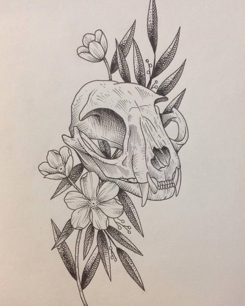 Cat Skull Drawing at GetDrawings | Free download