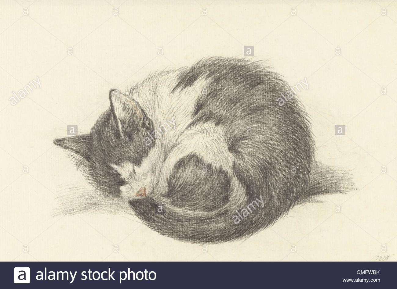 1300x948 Sleeping Cat Rolled Into A Ball, By Jean Bernard, 1825, Dutch