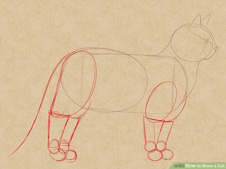 728x546 The 4 Best Ways To Draw A Cat