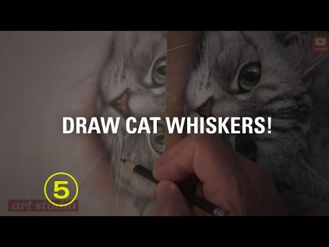 480x360 How To Draw Cat Whiskers