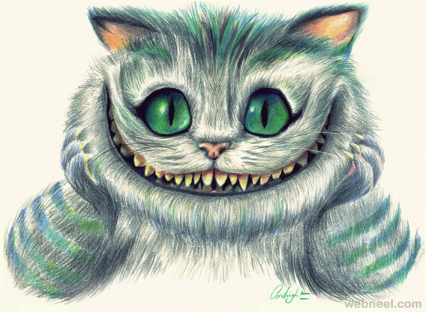 875x642 Evil Cat Drawing 25