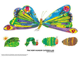 320x226 Very Hungry Caterpillar Butterfly, Life Stages