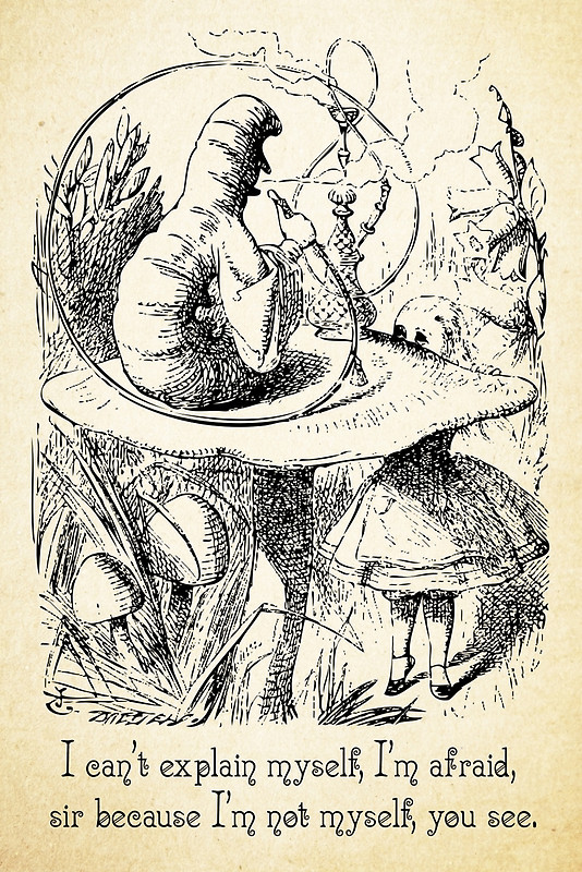 534x800 Alice In Wonderland Quote