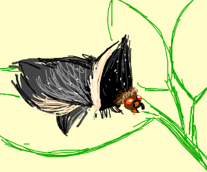 300x250 Puppy Caterpillar