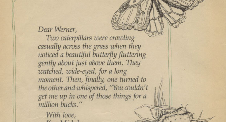 728x393 Caterpillar To Butterfly Quote Images About Butterflies