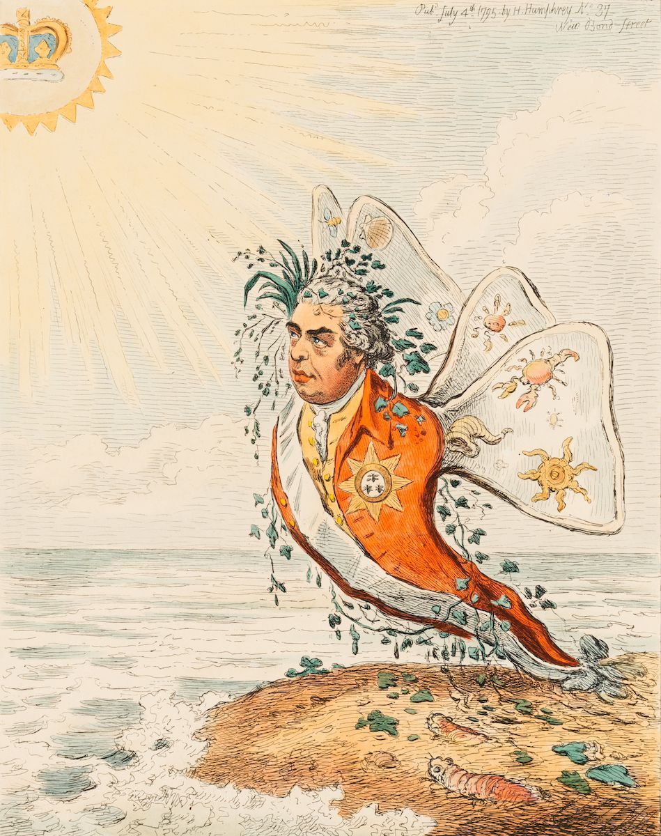 949x1200 The Great South Sea Caterpillar Transform'D Into A Bath Butterfly