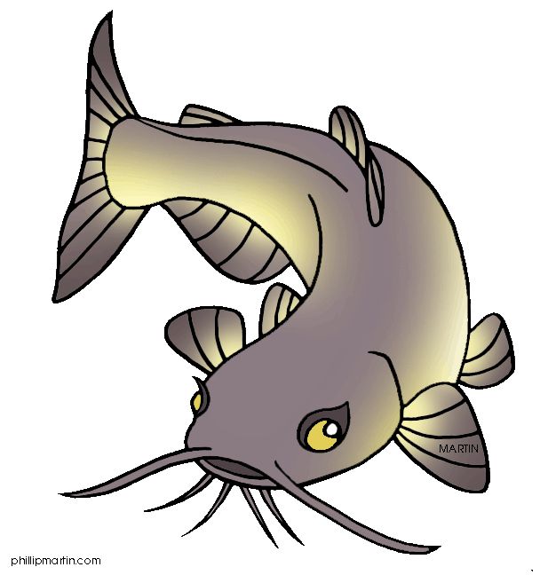 617x648 Fishing Boat Clipart Catfish