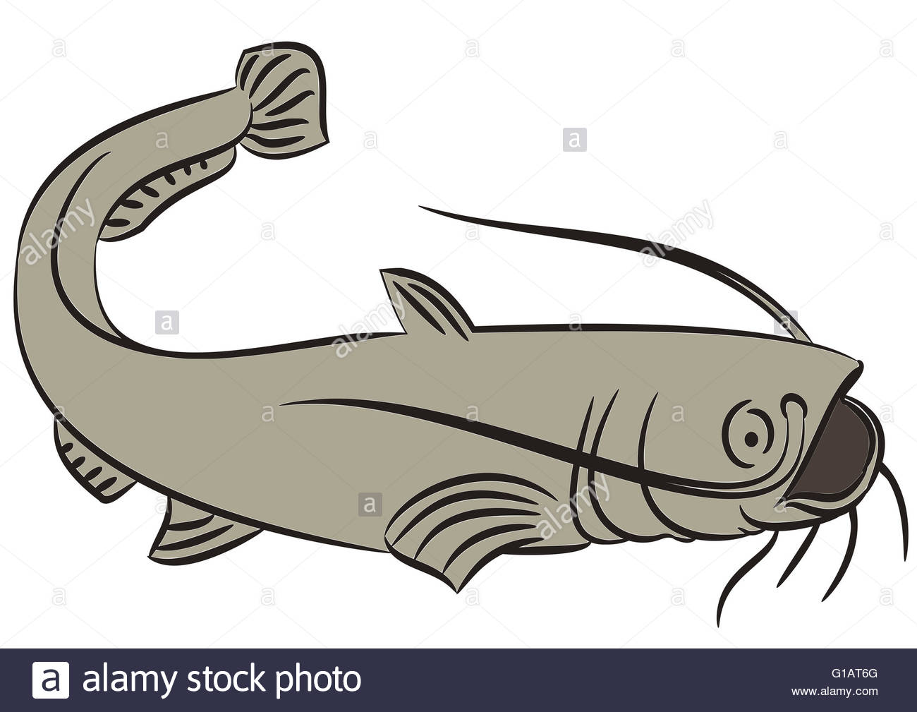 Catfish Drawing Images at GetDrawings | Free download