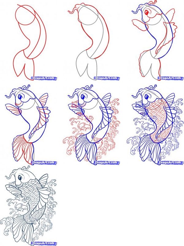 600x804 How To Draw Goldfish, Koi And Catfish