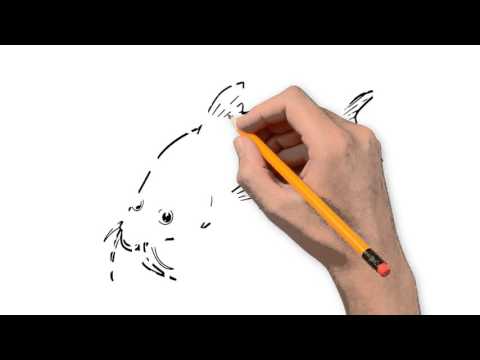 480x360 Catfish ( Fish) Animals Pencil To Draw Step By Step